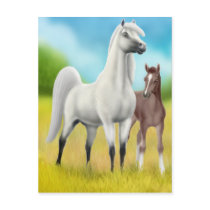 Fields of Gold Arabians Postcard by twopurringcats Fields of Gold Arabians Postcard