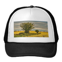 Fields of Gold Mesh Hats