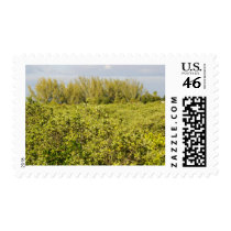 fields of Green postage by Debrene fields of Green postage