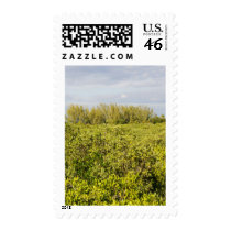 fields of Green postage by Debrene fields of Green postage
