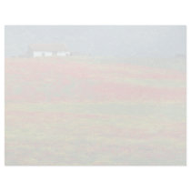 Fields of poppies near Cordoba, Andalusia fl Custom Letterhead