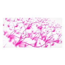 Fields of Rose photo cards by artistshahan79 Fields of Rose photo cards