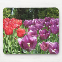 Fields of Tulips mousepads