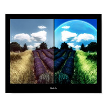 Fields posters