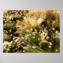 Fields posters