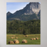 Fields with bailed hay, Alberta, Canada