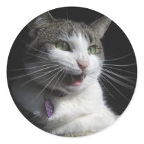 Fierce Attack Cat stickers by slogirl96 Fierce Attack Cat stickers