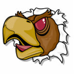 fierce hawk bird breaking through photo cut outs