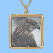 Fierce Hawk Necklace necklaces