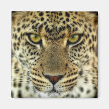 Fierce Leopard Magnet