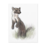 Fierce Little Pine Marten Postcards