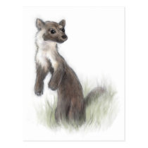 Fierce Little Pine Marten postcards