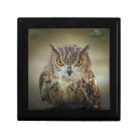 Fierce Orange Eyed Owl Jewelry Box