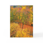 'Fiery Autumn' Blank Greeting Card