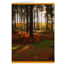 Fiery Bracken Cards