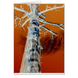 Fiery Forest greeting card Fiery Forest greeting card