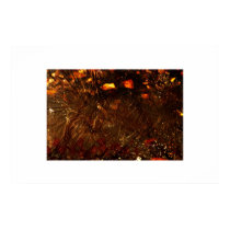 Fiery hazard. posters