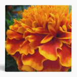 Fiery Marigold Vinyl Binder