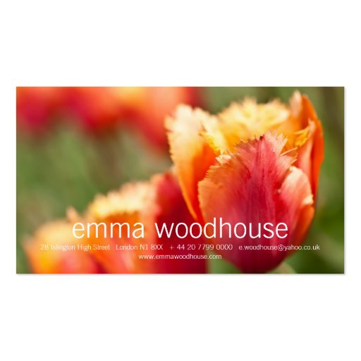 Fiery Orange Fringed Tulip Business Card Template (front side)