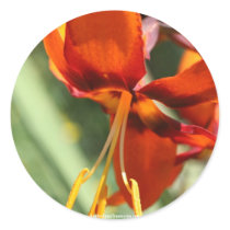 Fiery Orange Lily Flower Photo Sticker Label by SmilinEyesTreasures Fiery Orange Lily Flower Photo Sticker Label
