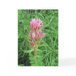 Fiery Pink Bloom Blank Note Card Fiery Pink Bloom Blank Note Card