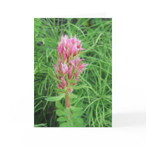 Fiery Pink Bloom Blank Note Card