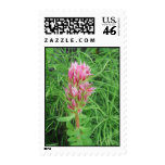 Fiery Pink Bloom Postage Stamp
