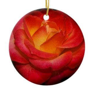 Fiery Red Rose Ornament