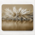 Fiery Reflections Mousepad by LeslieBattjes Fiery Reflections Mousepad