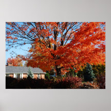 Fiery Tree Print