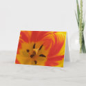 Fiery Tulip Greeting Card card