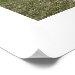Corner