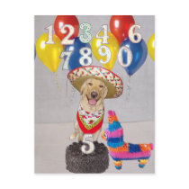 Fiesta Birthday Party postcards by myrtieshuman Fiesta Birthday Party postcards