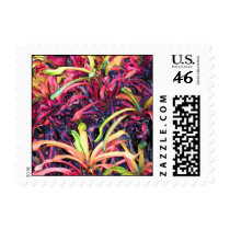 Fiesta of Color - Postage #2