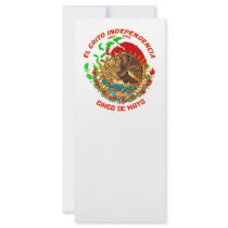 Fiesta-Product-Match-Cinco-de-Mayo-Set-1 Rack Card