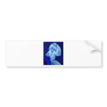 Fiesty Kid Bumper Stickers