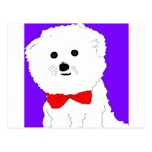 Fifi Le Bichon Frise Post Card
