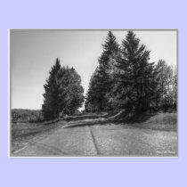"Fifield Wisconsin in B/W" Postcard postcards