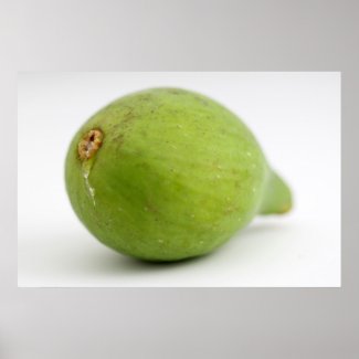 Fig