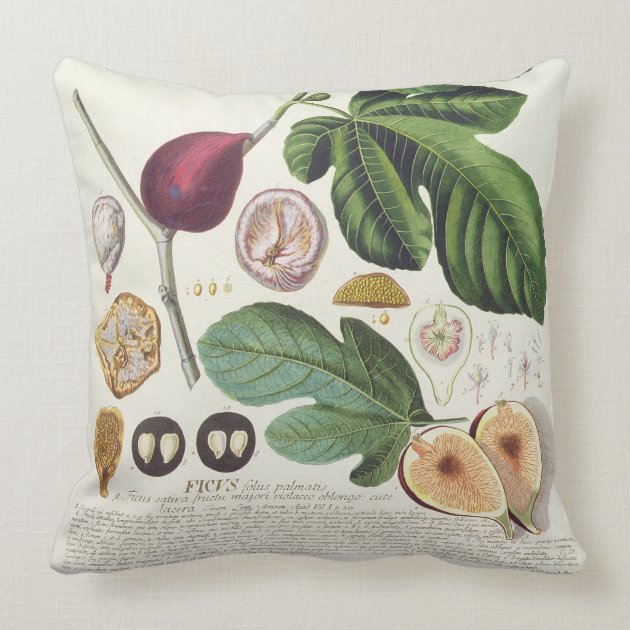 Fig, engraved by Johann Jakob Haid (1704-67) plate Throw Pillow