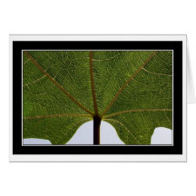 "Fig Leaf" Card