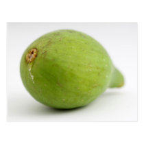 Fig postcards