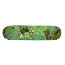 Fig Tree Custom Skateboard