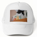 Figgy in the Fruit Bowl hats
