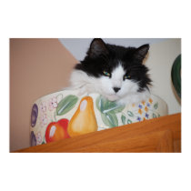 Figgy in the Fruit Bowl posters
