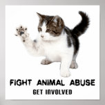 FIGHT ANIMAL ABUSE KITTEN POSTER posters