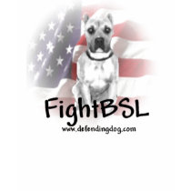 Fight BSL T-Shirt