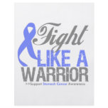 Fight Like a Warrior Stomach Cancer flyers