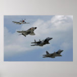 Fighter Evolution posters