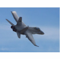 Fighters Jets Planes photo sculptures